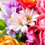 What to Put in Water to Keep Flowers Fresh