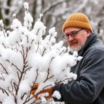 Tailler en hiver le cognassier de plein vent : guide pratique pour réussir votre taille