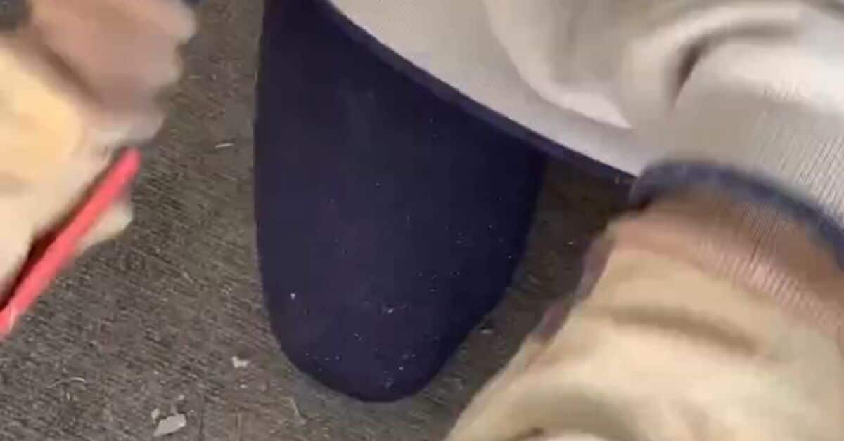 How to Make Cute DIY Coasters With Photos & Wood Slices