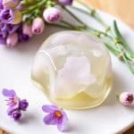 Gelée de fleurs de pissenlit : une délicieuse recette printanière