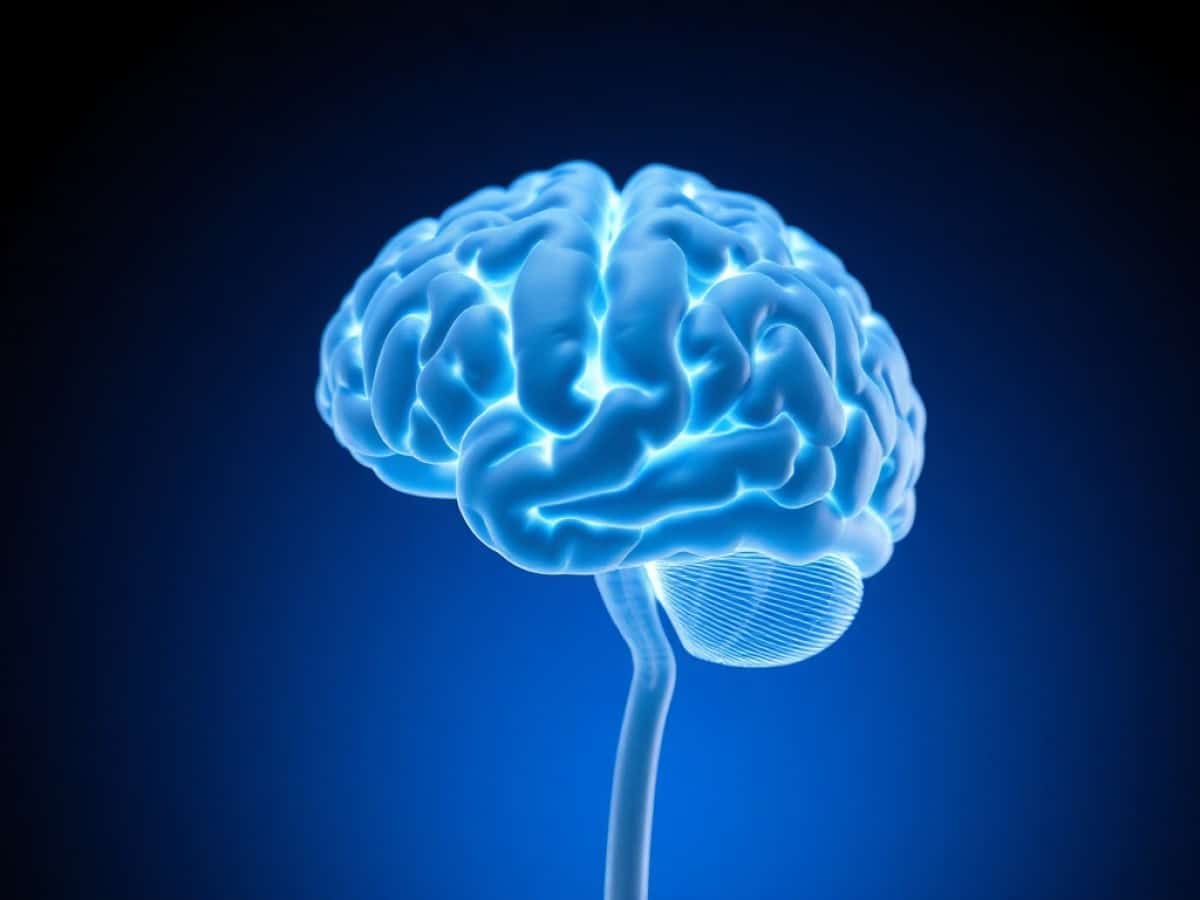 This Daily Gut Routine May Keep Your Brain Sharp as You Age, New Study Finds