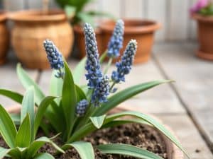 Réussir le bouturage de la lavande : guide pratique et astuces