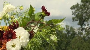 Comment cueillir les fleurs du jardin pour que le bouquet dure plus longtemps l’été ?