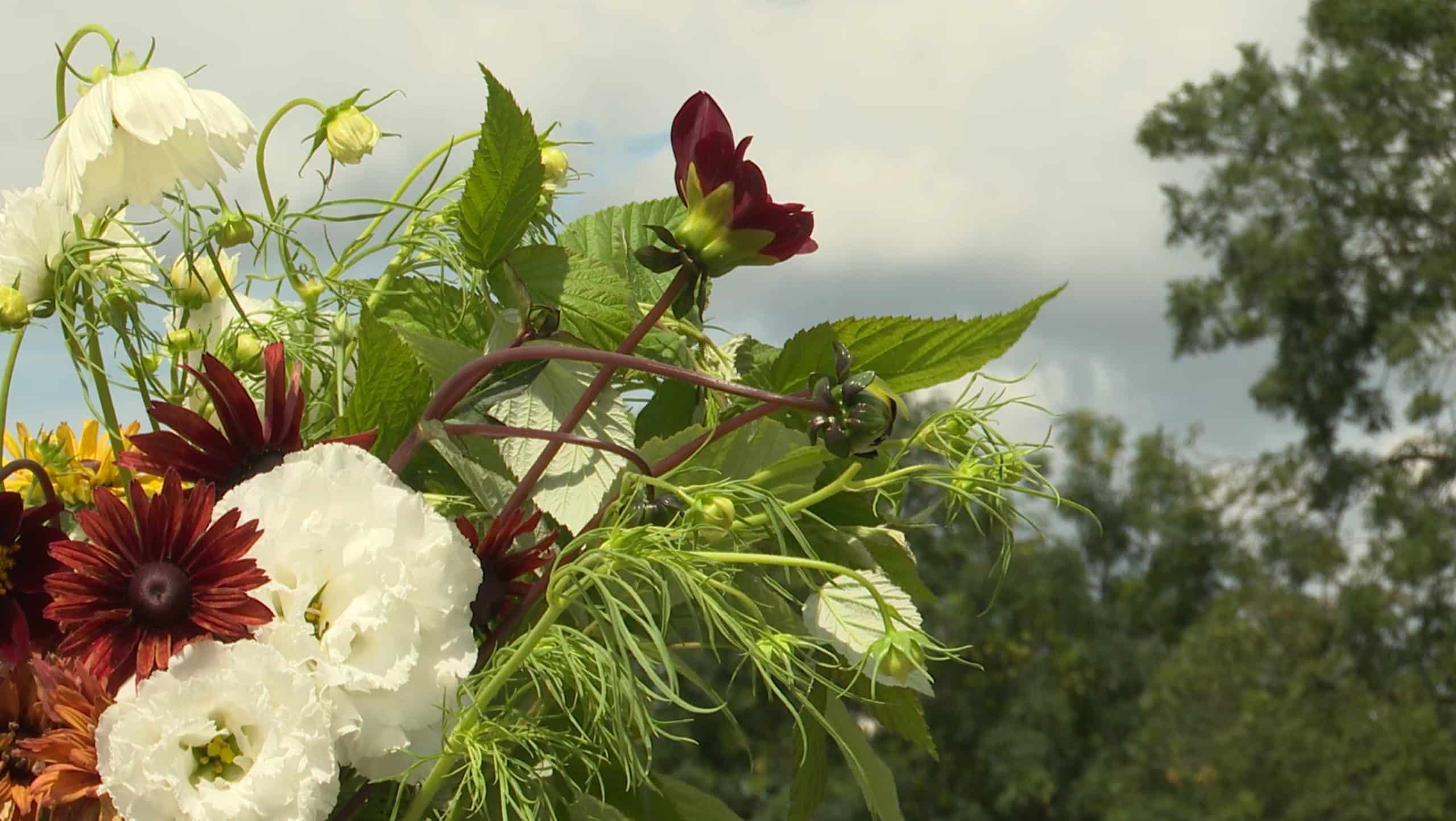 Comment cueillir les fleurs du jardin pour que le bouquet dure plus longtemps l’été ?