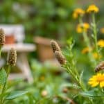 Expert Tips to Get Rid of Backyard Mosquitos—and Reclaim Your Summer Evenings