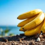 Why You Should Never (Ever) Toss a Banana Peel Outside
