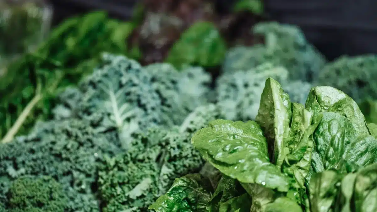 Légumes verts feuillus et brocoli, sources naturelles de calcium