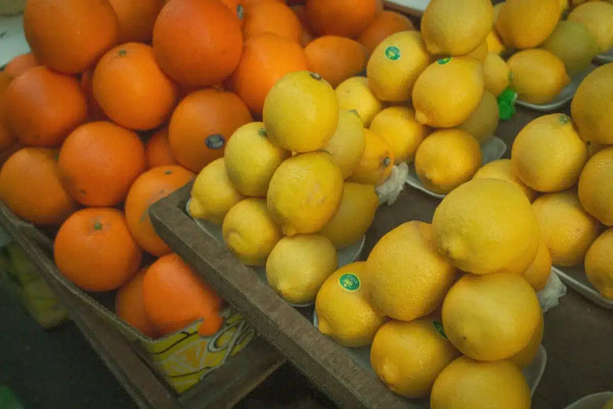 Agrumes frais et colorés riches en vitamine C pour l'énergie naturelle