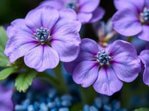 Engrais bleu : composition, utilisation et dosage au jardin