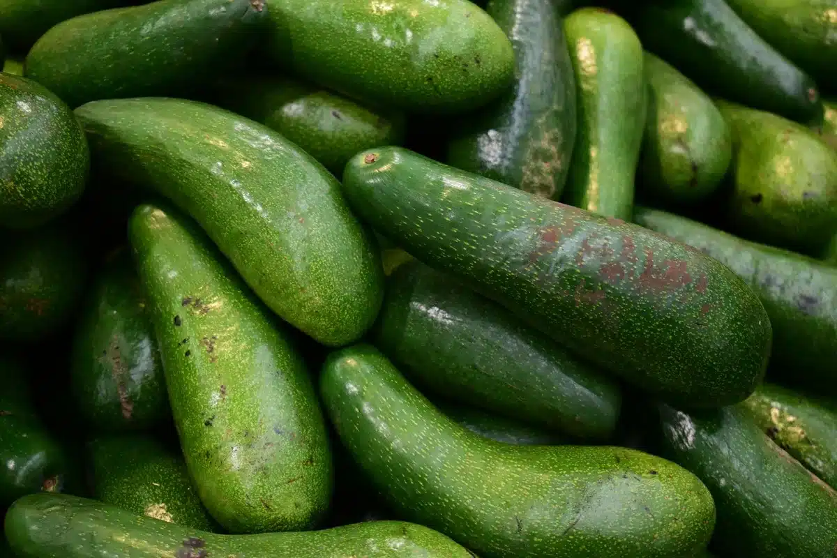 Avocat frais coupé en deux avec fruits secs et légumes, symbolisant les nutriments essentiels
