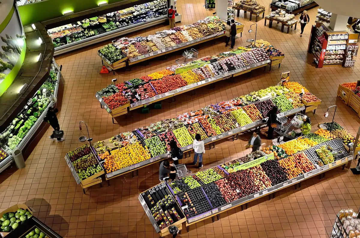 Aliments colorés pour la santé du cerveau: fruits, légumes, grains entiers et poisson