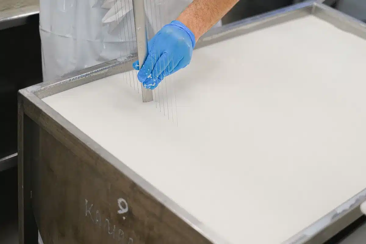 Lait versé dans une gerle en bois pour la fabrication du fromage Cantal