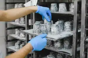 Deux meules de fromage affiné avec croûtes dorées sur des étagères en pierre
