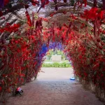 Arche lumineuse avec guirlandes scintillantes encadrant l'entrée d'une maison