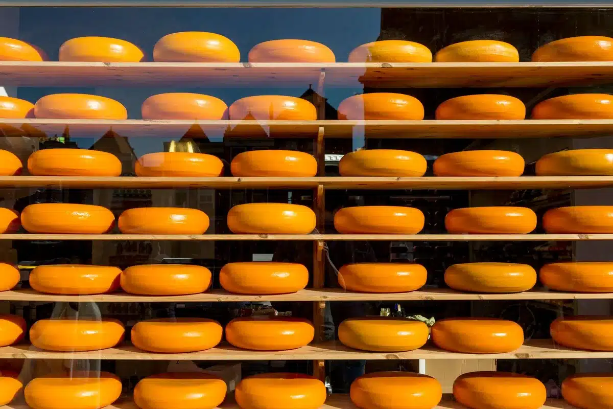Fromage fermier rond et crémeux sur plateau en bois dans une cave traditionnelle