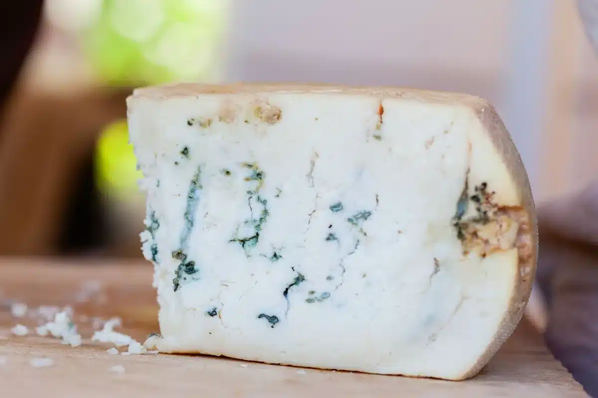 Bleu d'Auvergne AOP compact avec persillage intensément velouté