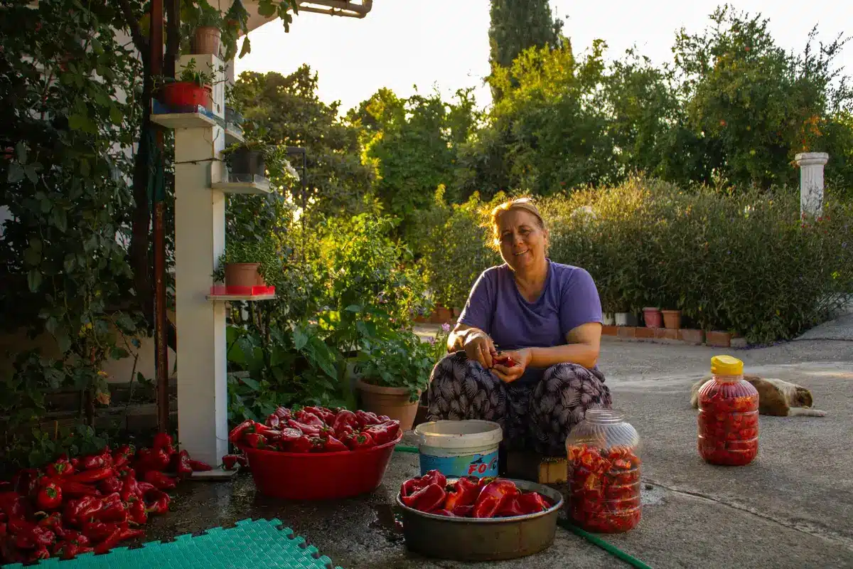 Bocaux de conservation remplis de tomates aux herbes et huile d'olive