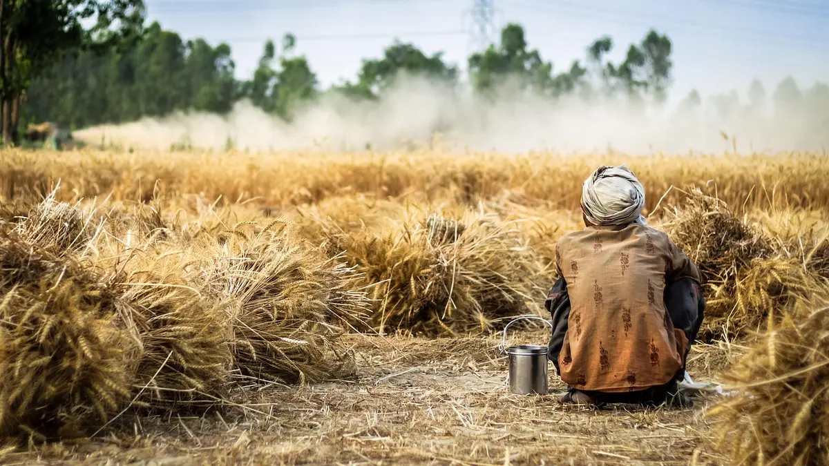Professionnels installant un plan de travail en pierre dans une cuisine