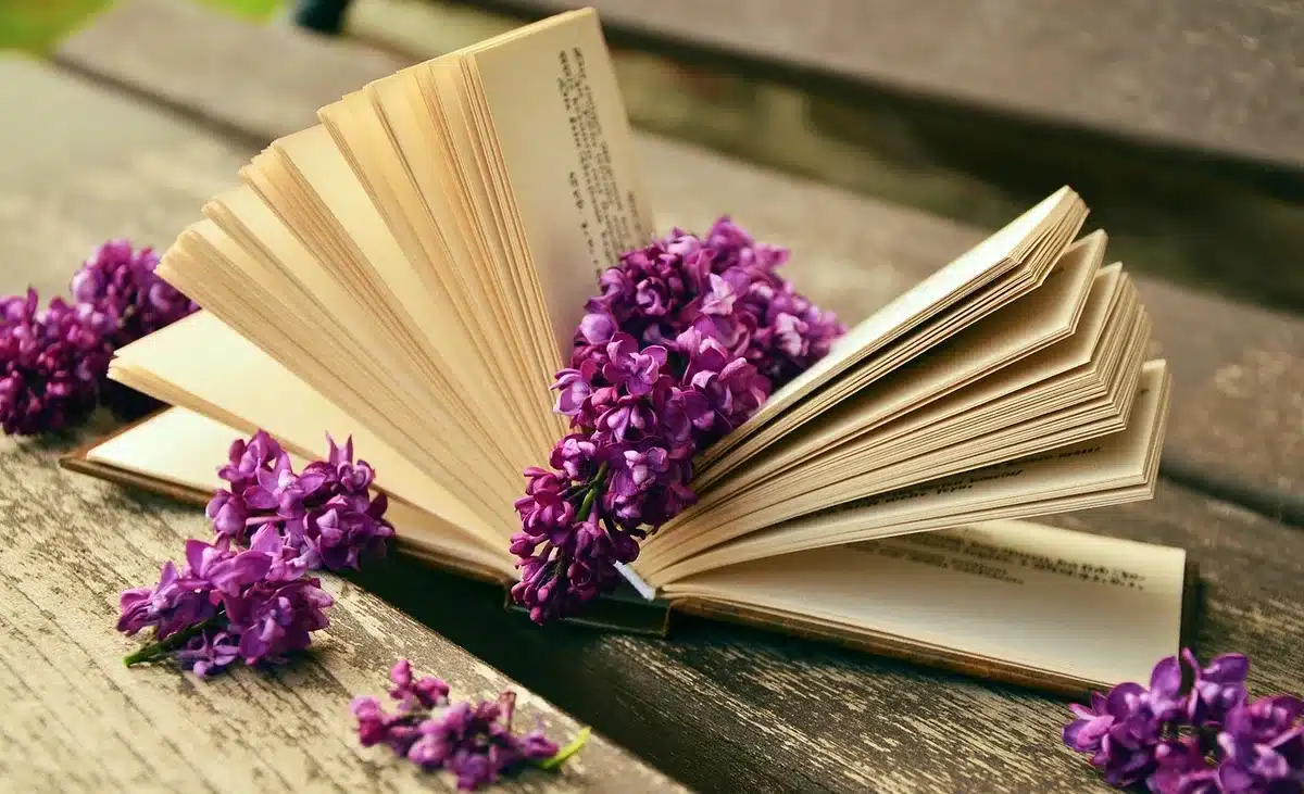 Étagère de livres anciens et éditions rares en friperie