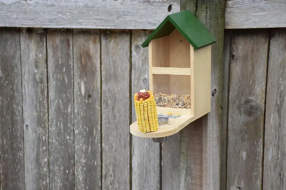 Jumelles posées à côté d'une mangeoire et d'outils d'entretien sur une table de jardin