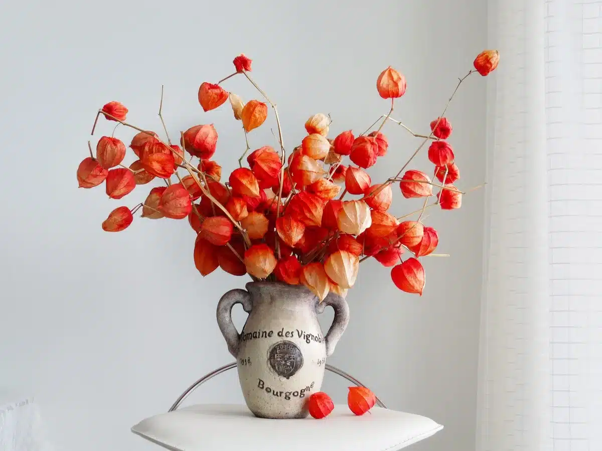 Vase artisanal posé sur une commode, jour