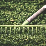 Voisins en journée échangent des outils de jardinage près de branchages