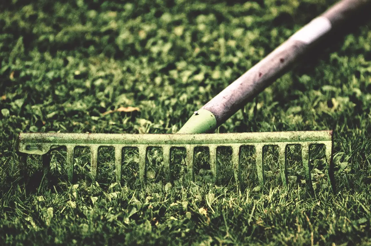 Voisins en journée échangent des outils de jardinage près de branchages