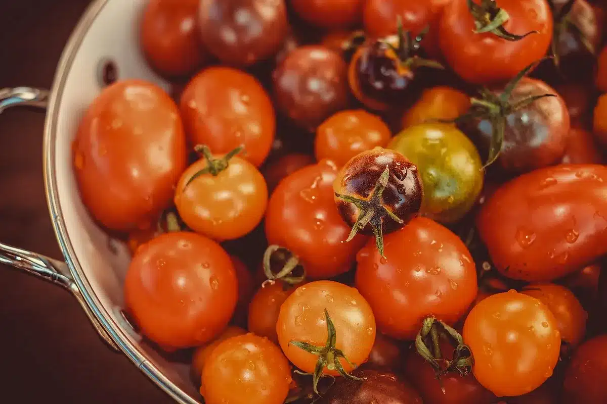 Ingrédients coupés : carottes, tomates concassées, oignon et ail prêts pour la préparation