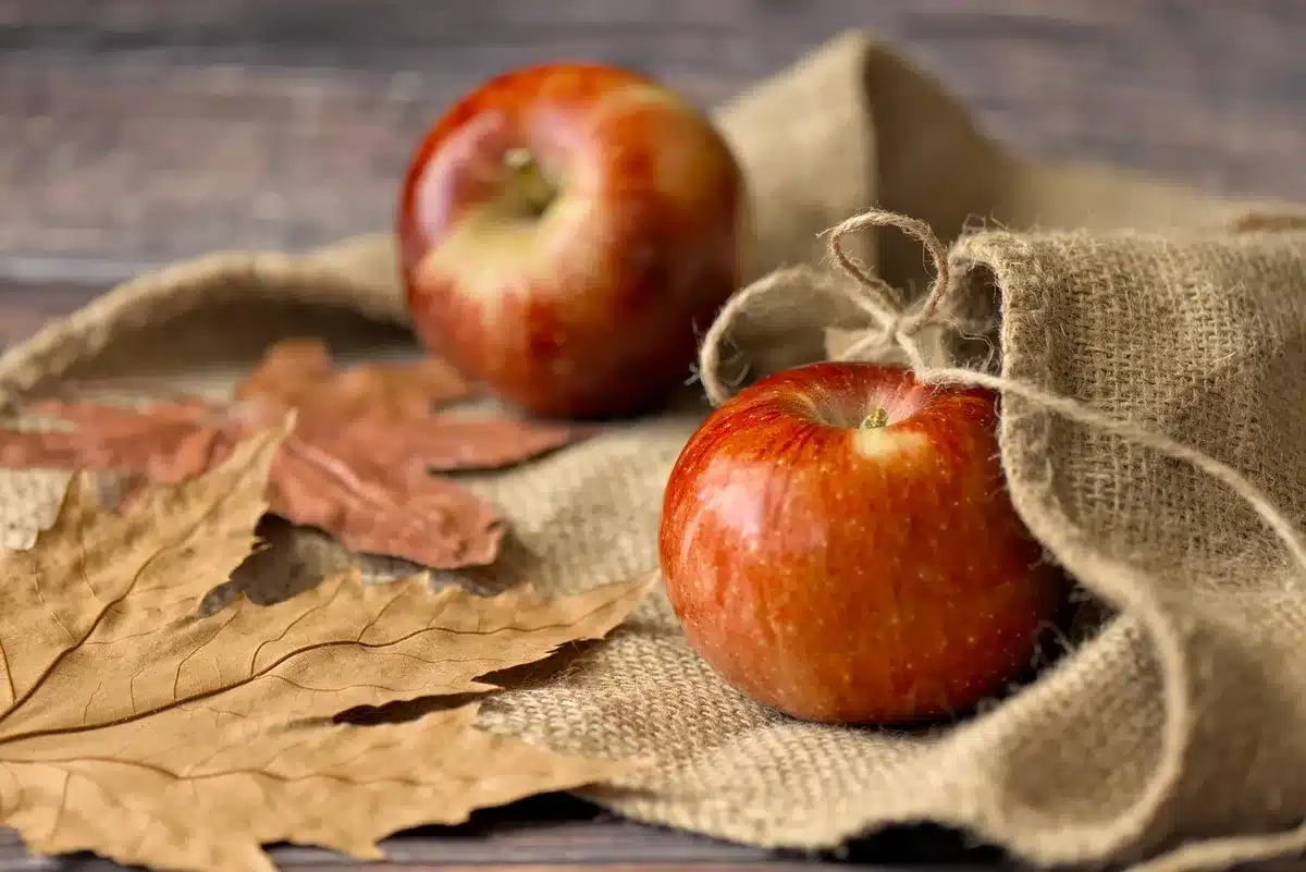 Crate de pommes et poires sur une table ensoleillée avec notes de récolte