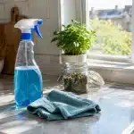 Punaises puantes dans la maison: comment s'en débarrasser et éviter qu'elles reviennent